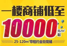 熱度持續(xù)不減！10000元/平米起買真金現(xiàn)鋪